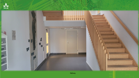 Interior view of student accommodation