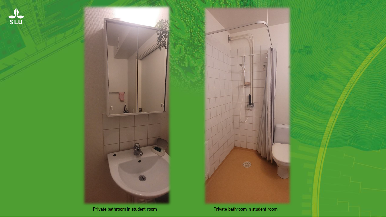 Interior view of student accommodation