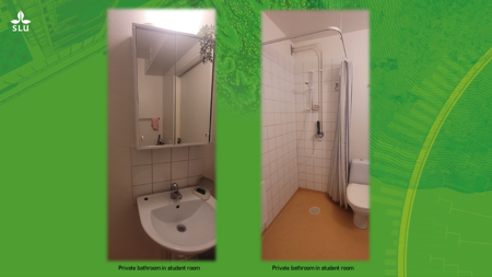 Interior view of student accommodation