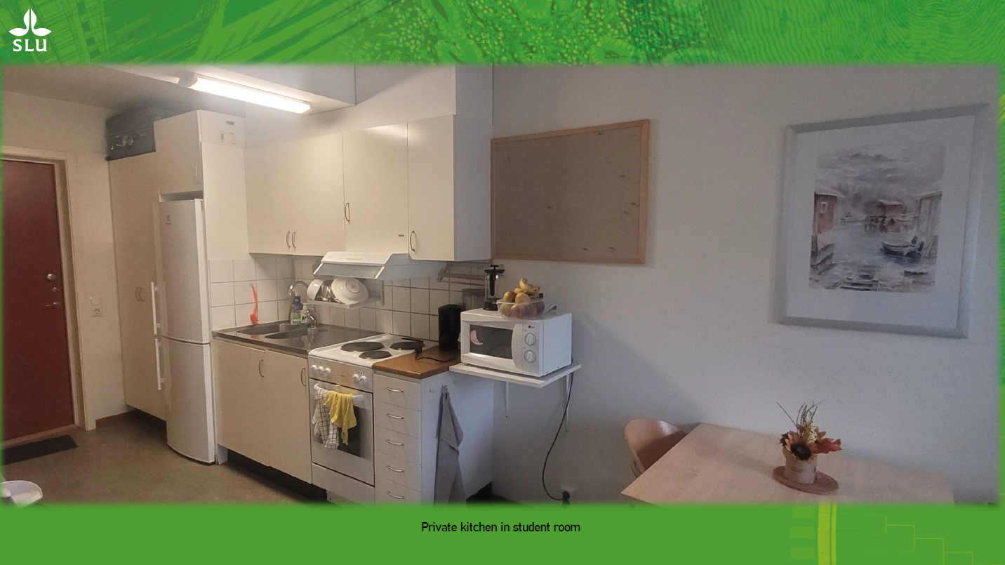 Interior view of student accommodation