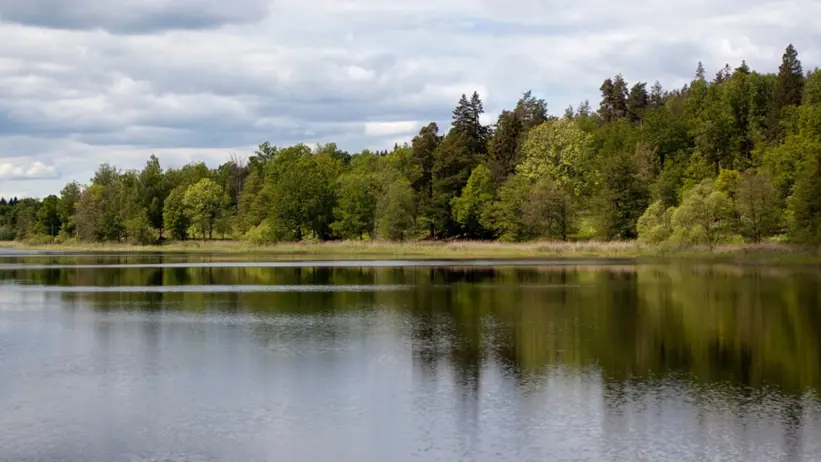 A Swedish lake surrounded by forest. Photo.
