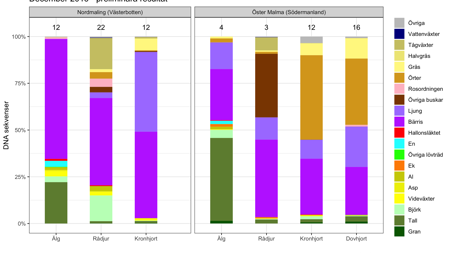 Diagram som visar vad hjortdjur ätit under december månad.