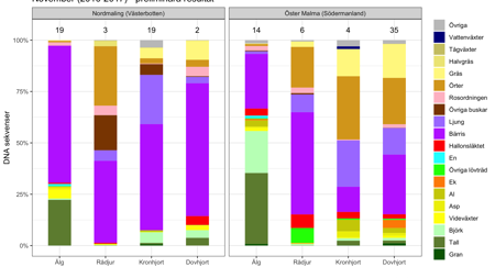 Diagram som visar vad hjortdjur ätit under november månad.