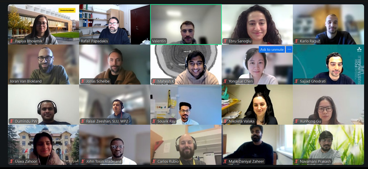 people in a online meeting