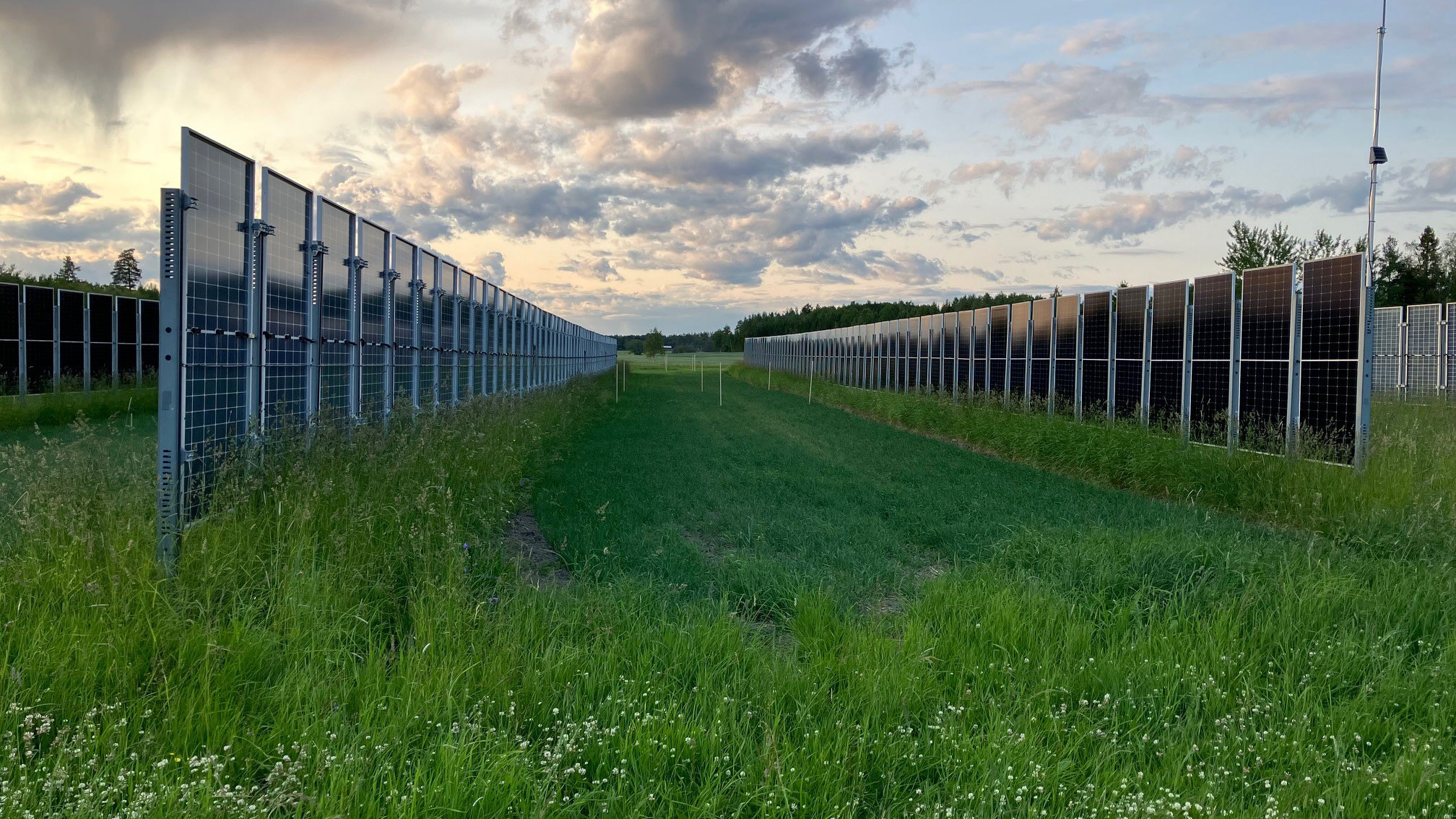 Solar panels on agricultural land, photo.