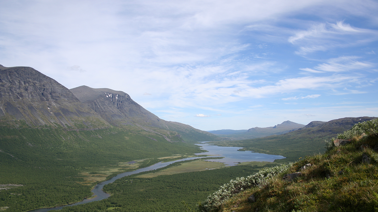 Grönt landskap, vatten och berg i bakgrunden. Foto