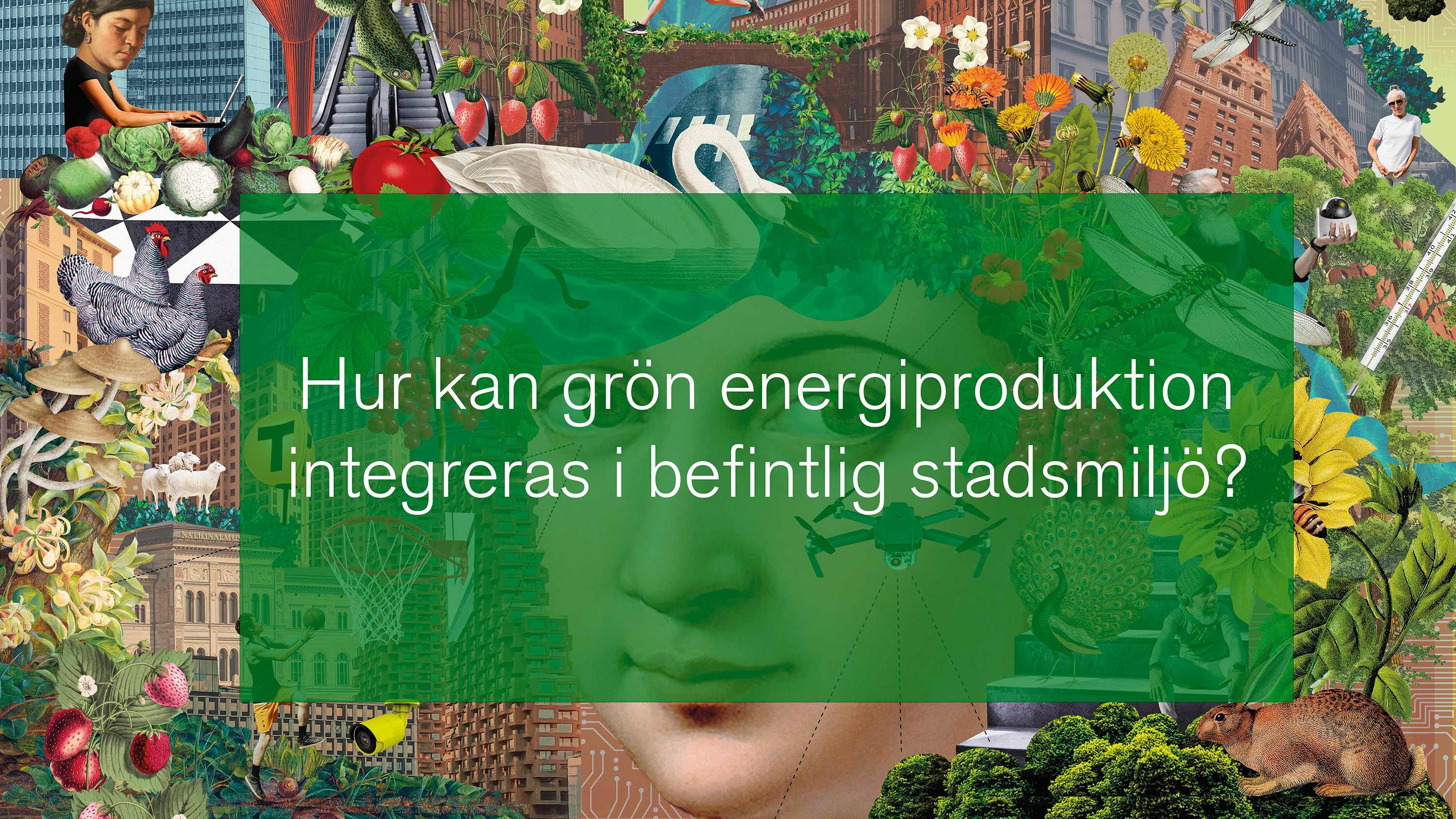 Illustration av stadsmiljö.