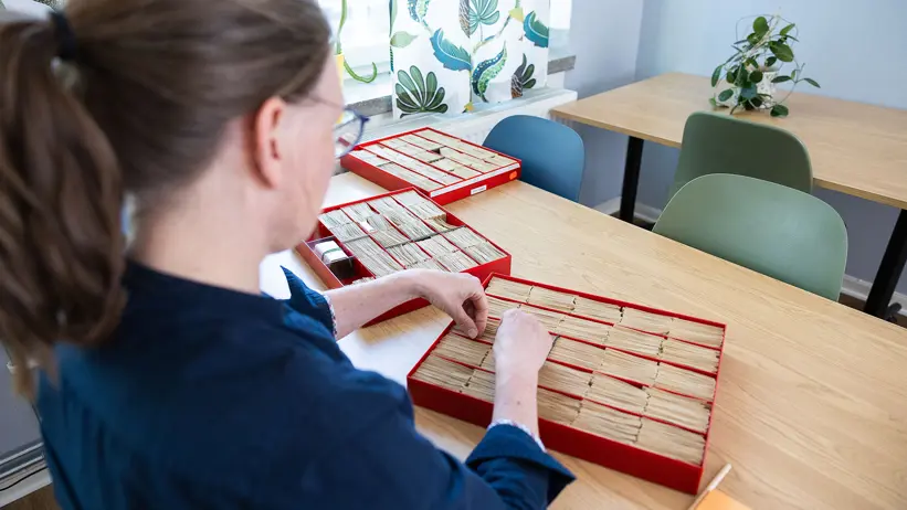 Person bläddrar bland små papperpåsar