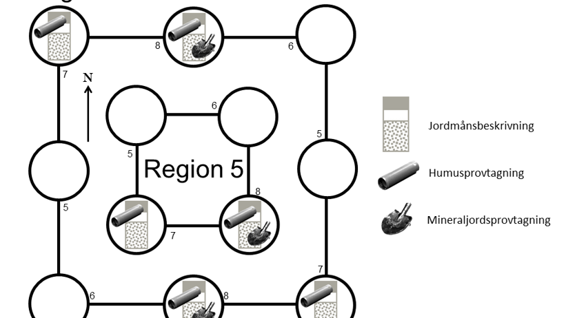 Översikt över arbetsmoment och var de utförs på trakten.