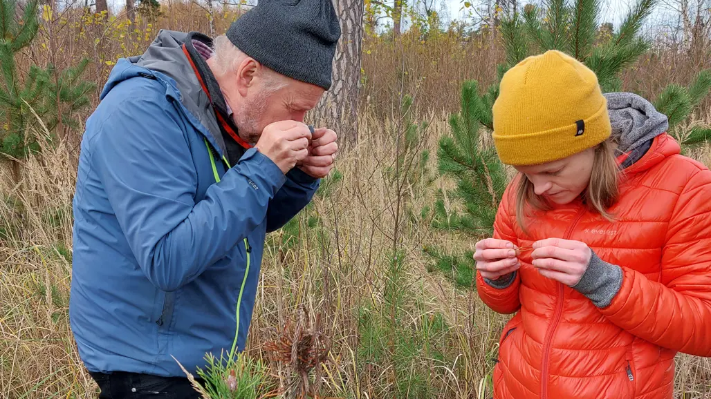 Two people in a forest. Photo.