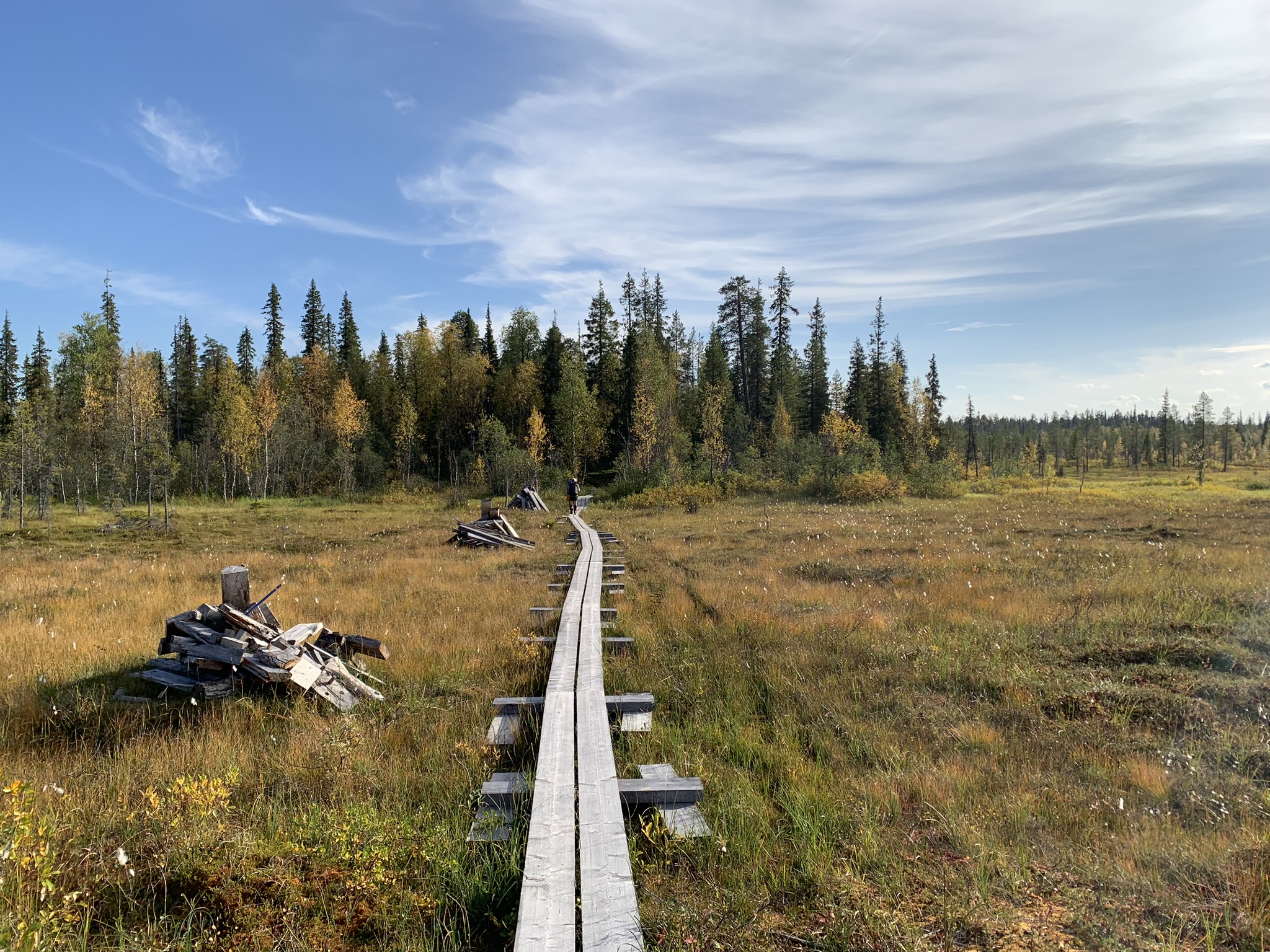Vandringsled i Pyhä nationalpark i Finland