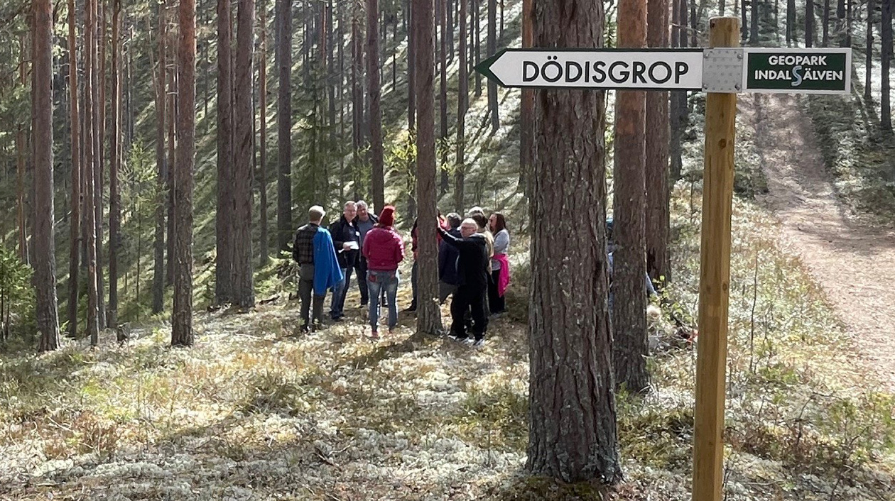En grupp står i solen i en tallskog. Marken är sandig. I förgrunden syns en skylt där det står dödisgrop. 