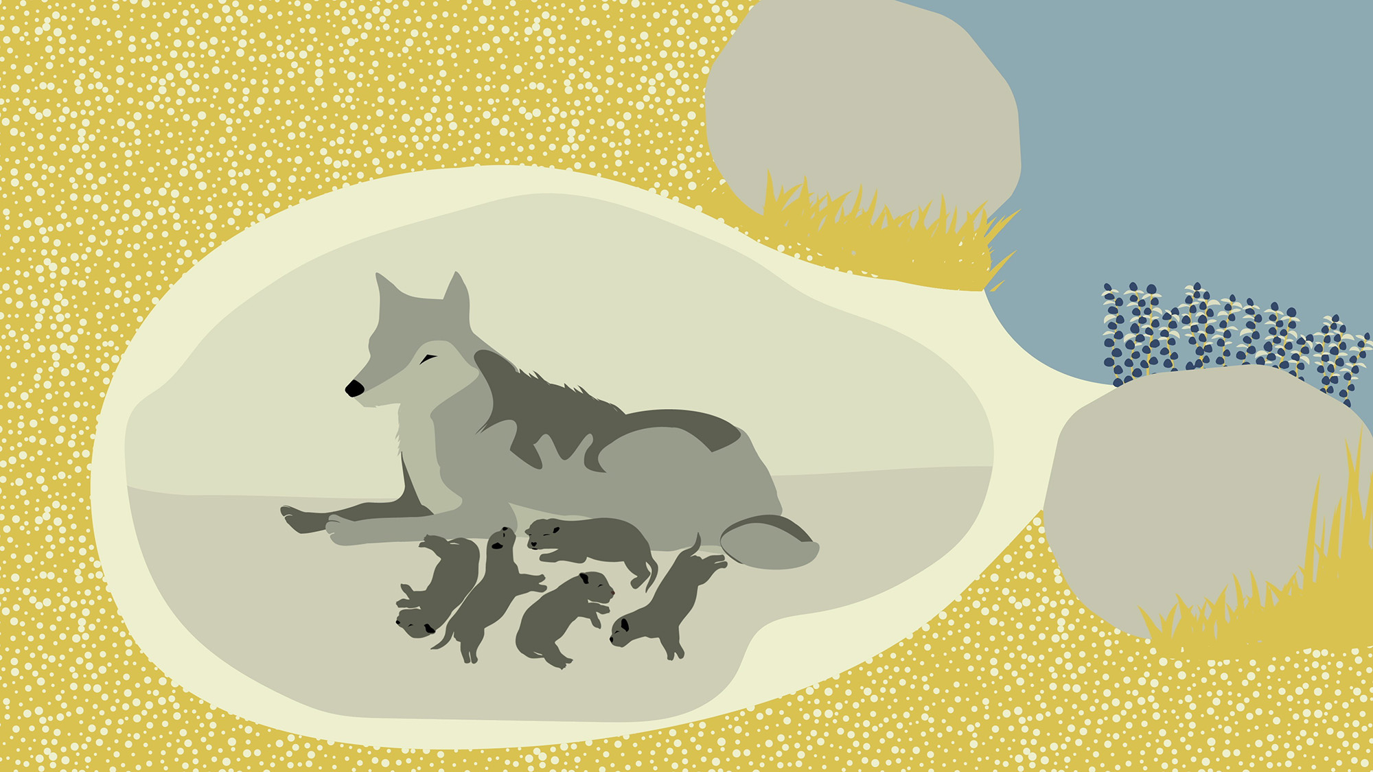Tecknad bild av varg med valpar.