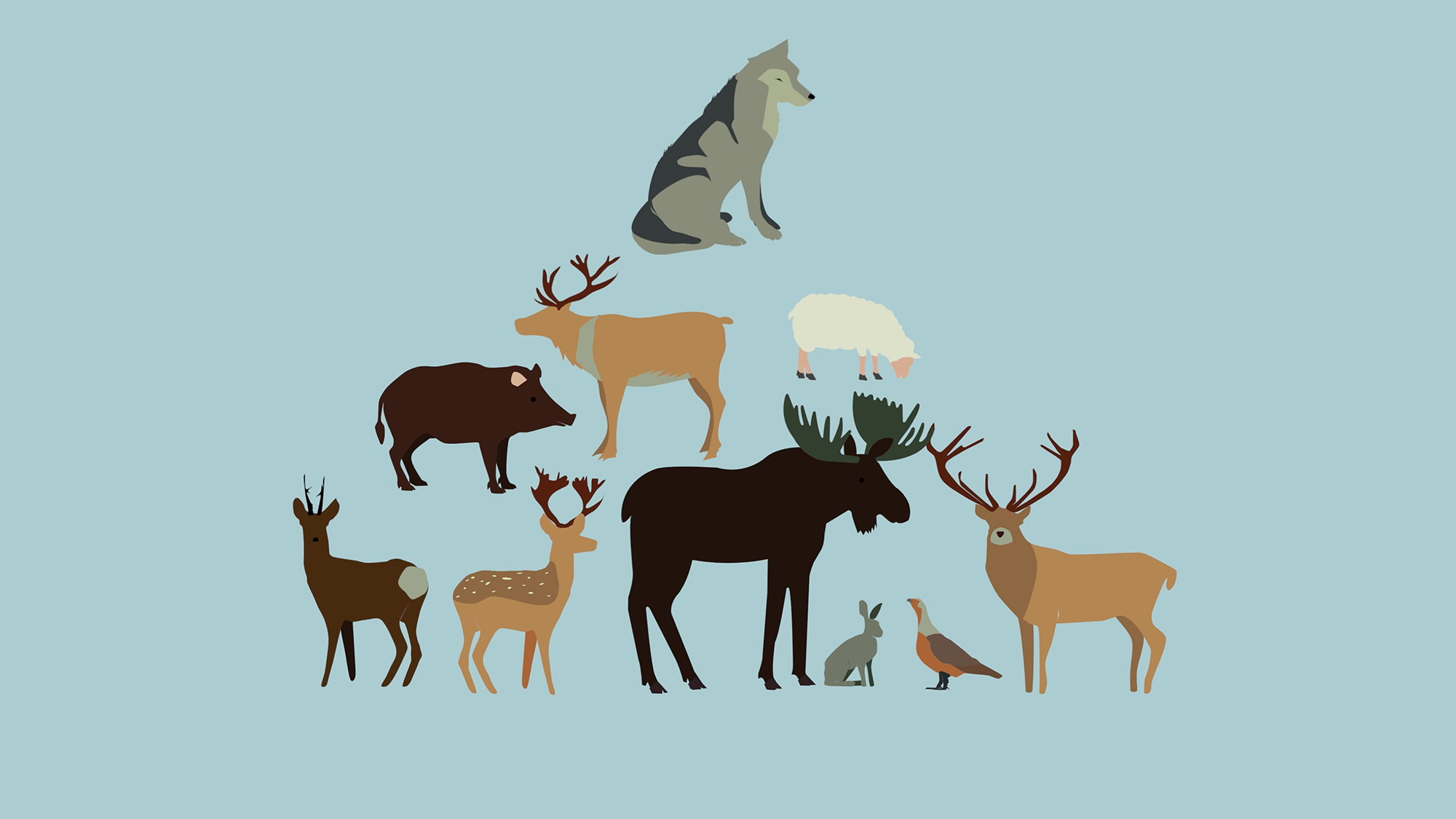 Vargen och dess byten.