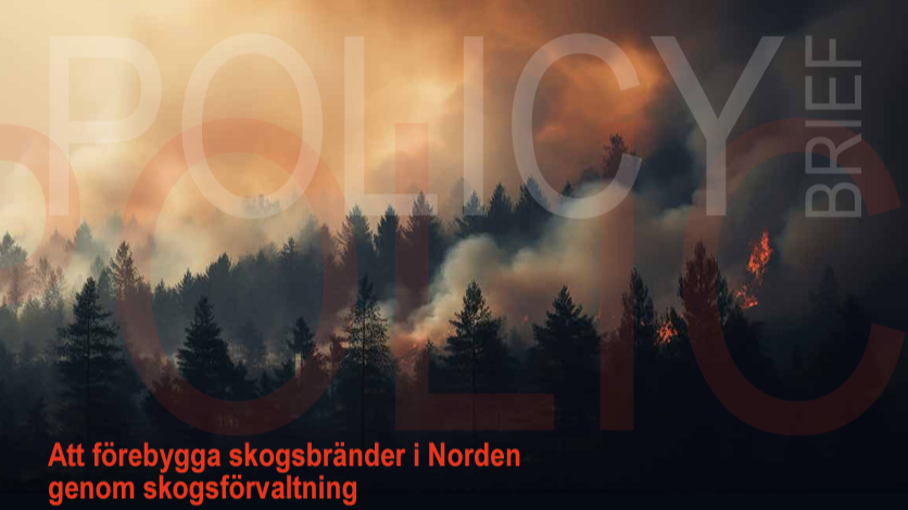 Framsida av policy brief. Bild. 
