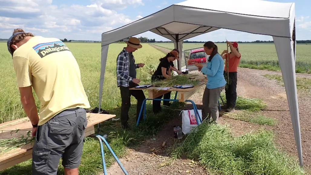 Människor arbetar vid ett bord på åker.