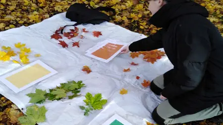 Höstlöv i olika färger på presenning.