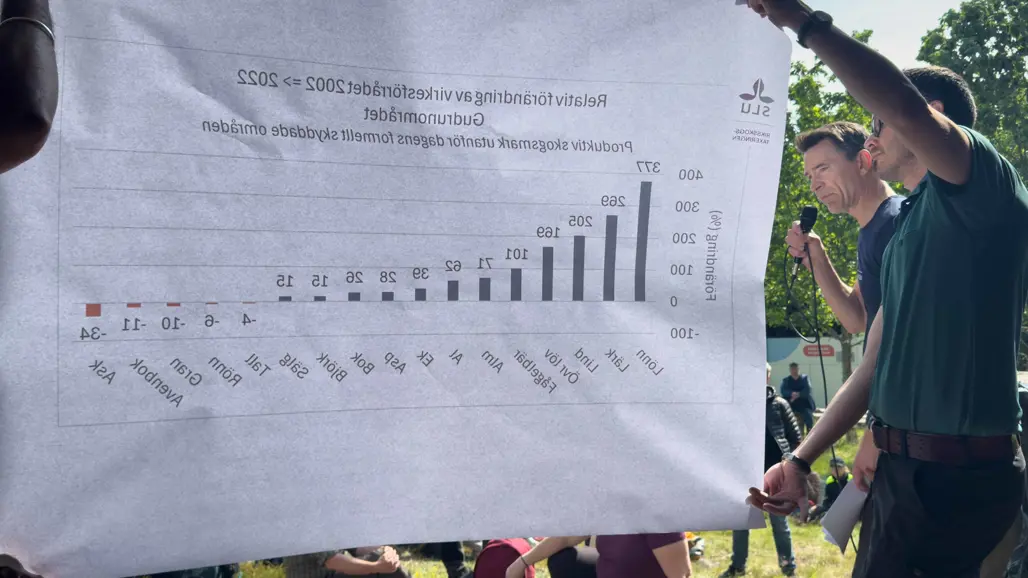 poster i motljus