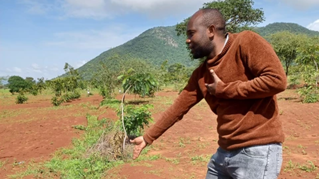 A man shows a planting in a soil bed.