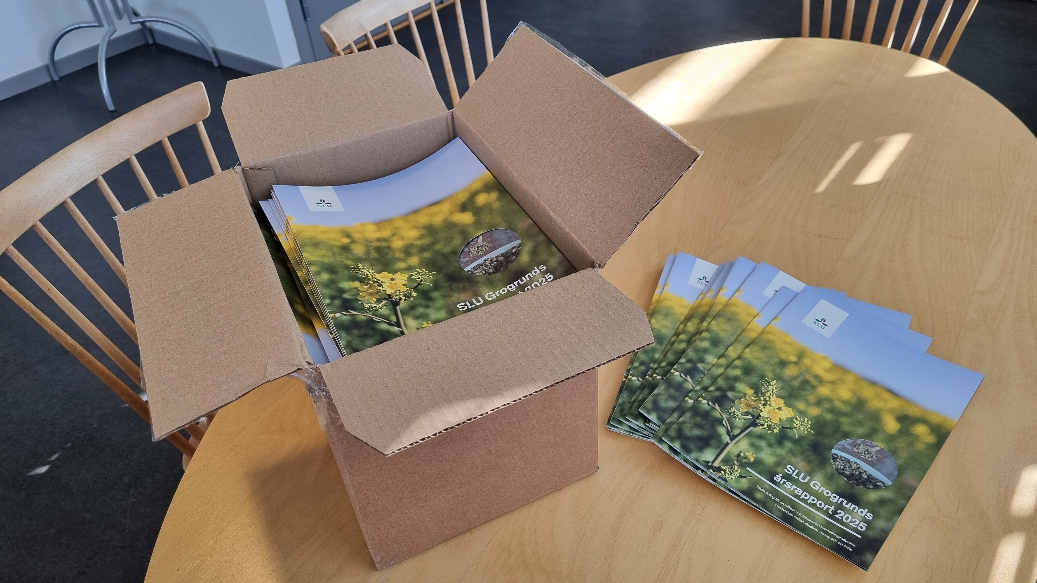 En bunt av SLU Grogrunds årsrapport 2025 ligger på ett bord bredvid en kartong med rapporter i. 