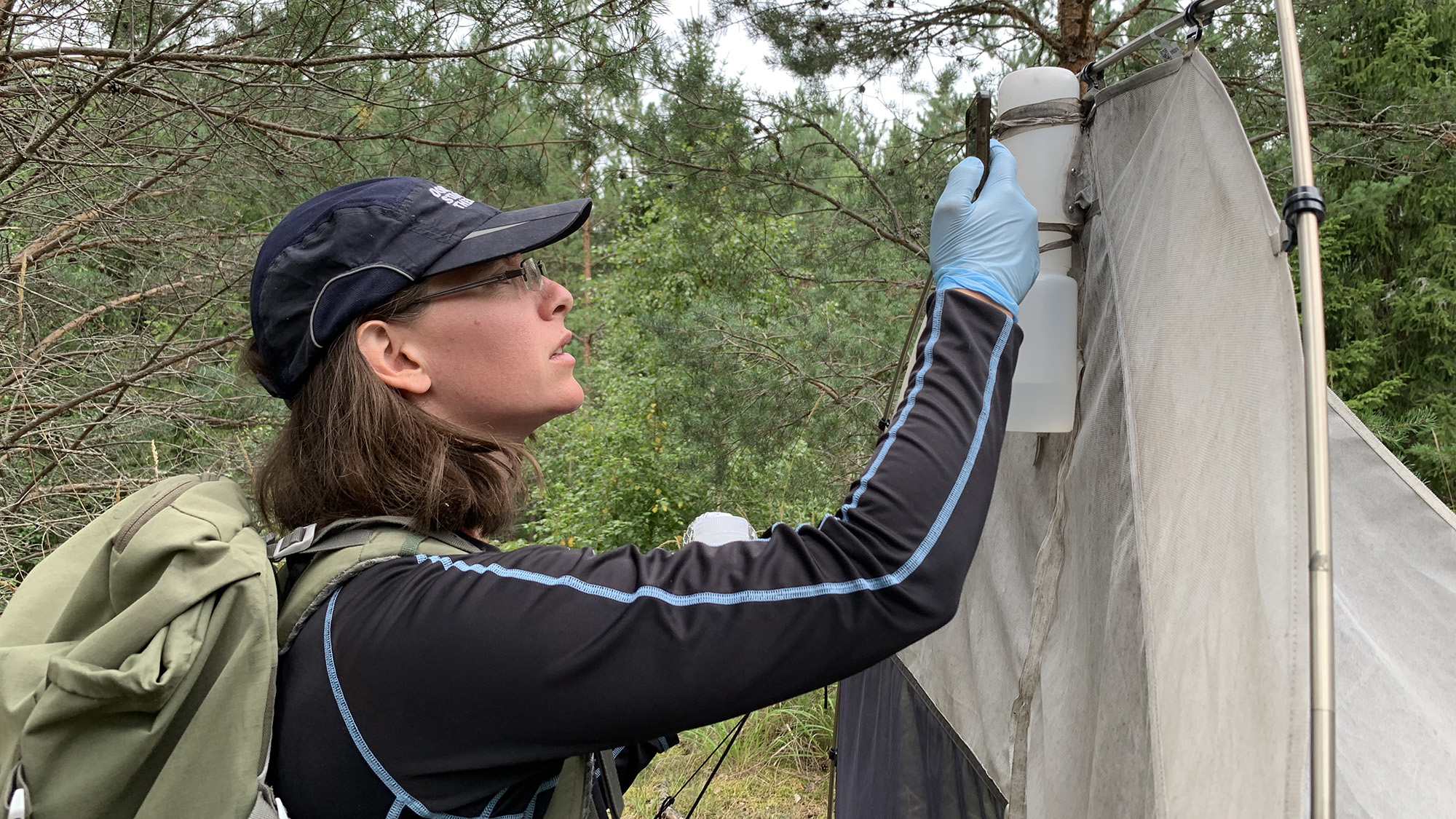 Woman in cap working in the fields.