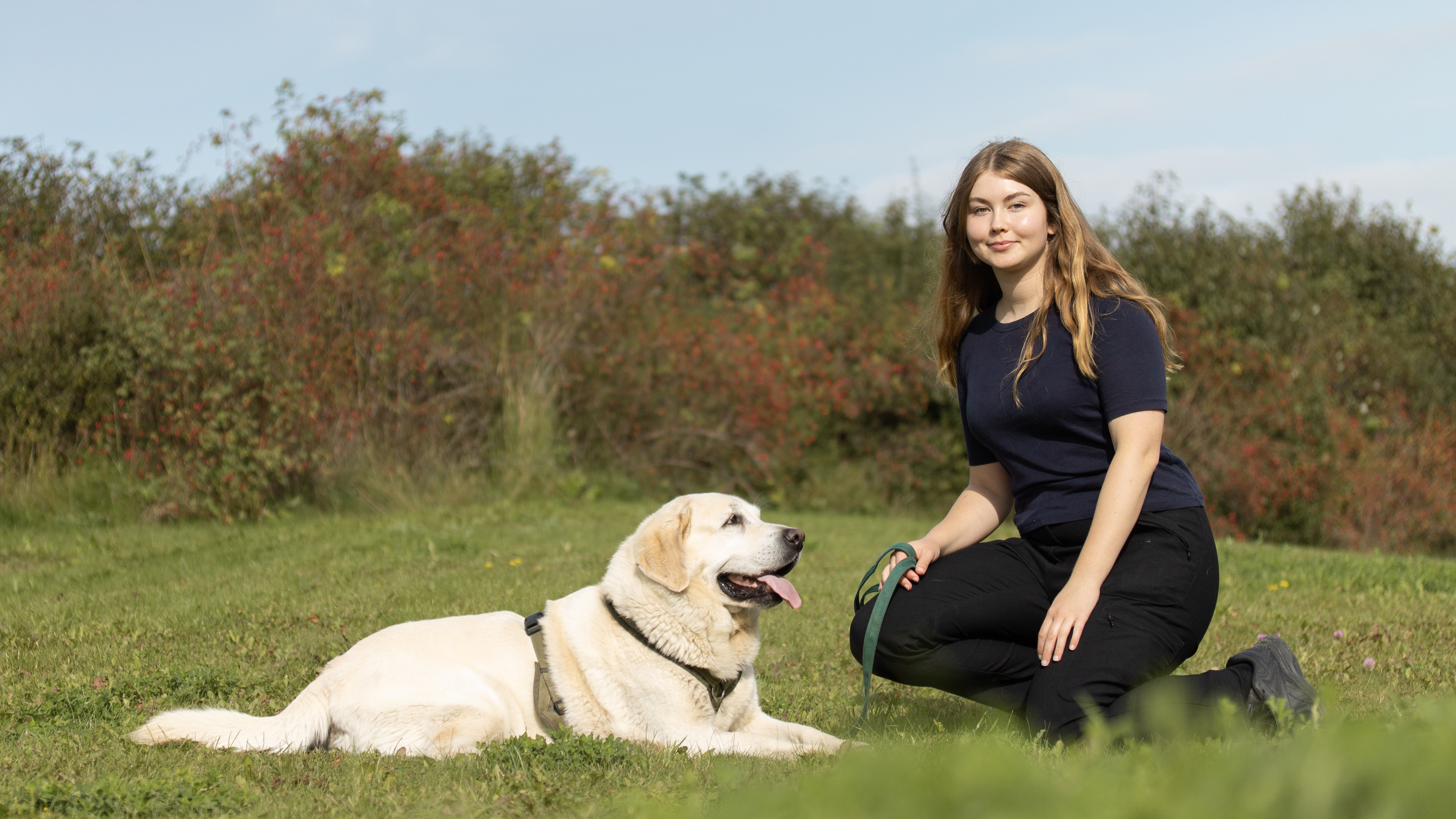 Foto av en kvinna (Felicia Palm, SLU) utomhus med en hund av rasen labrador retriever.
