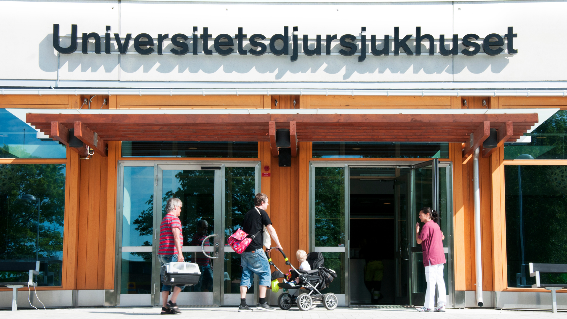 Tre personer framför en byggnad. En kvinna håller upp dörren åt två män som går med barnvagn och kattbur. 