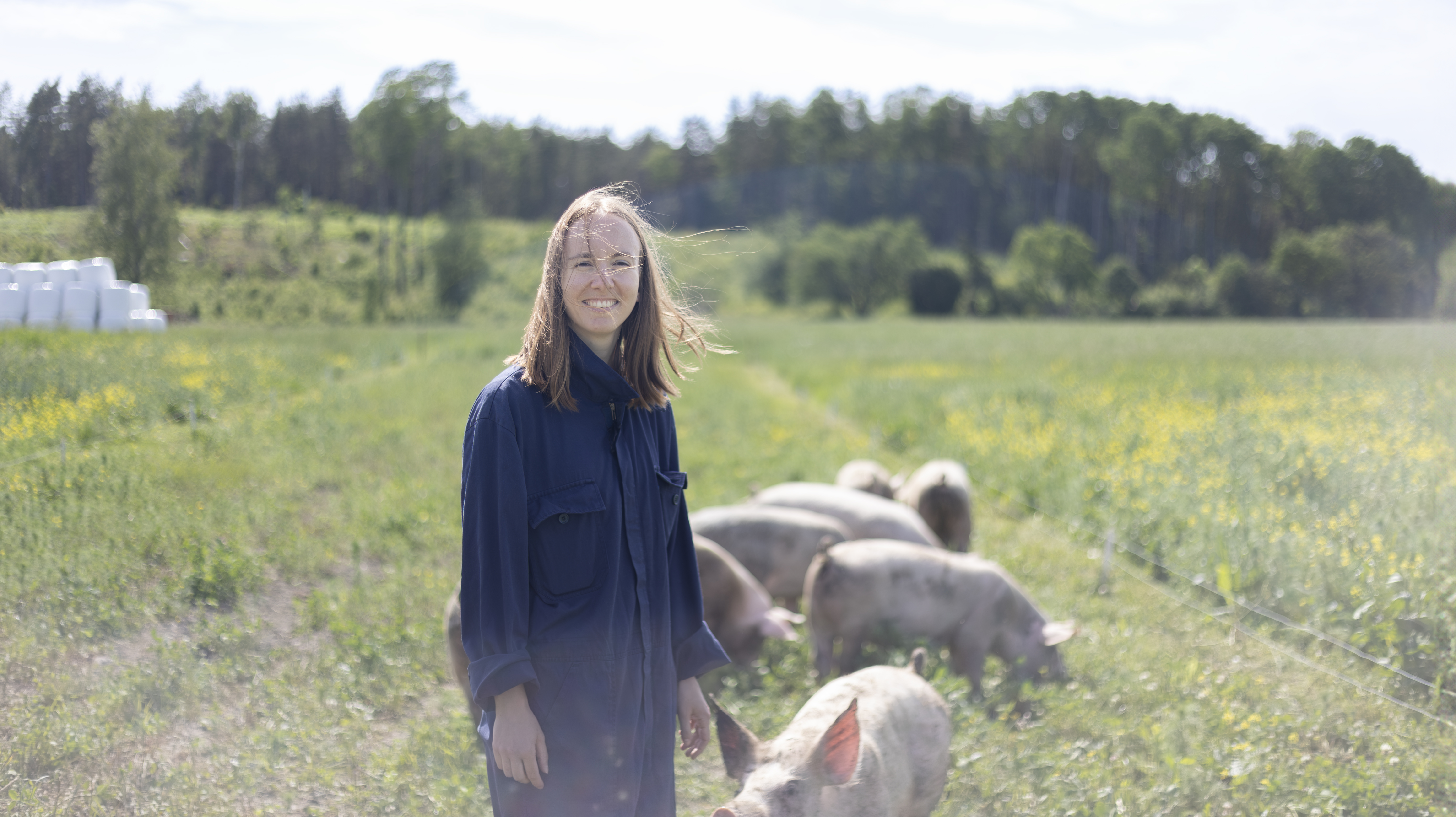 Foto av en kvinna (Lise Pinaqui) som står utomhus i högt gräs med grisar under svensk sommar.