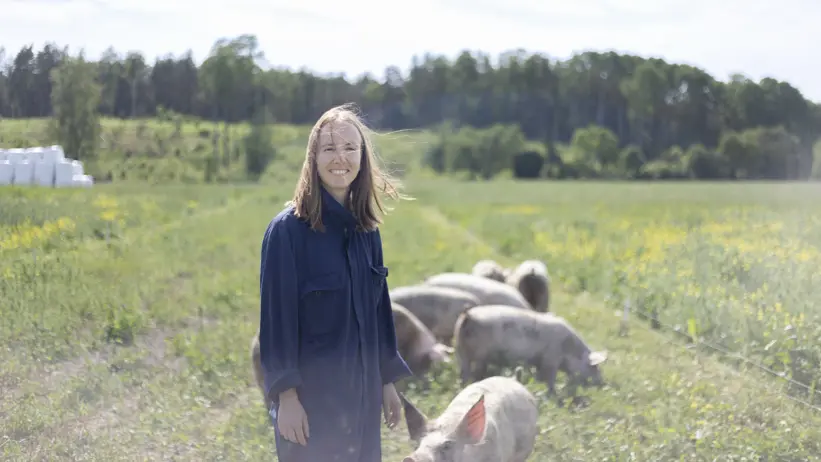 Foto av en kvinna (Lise Pinaqui) som står utomhus i högt gräs med grisar under svensk sommar.
