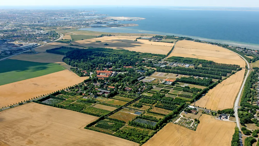 Alnarp från ovan