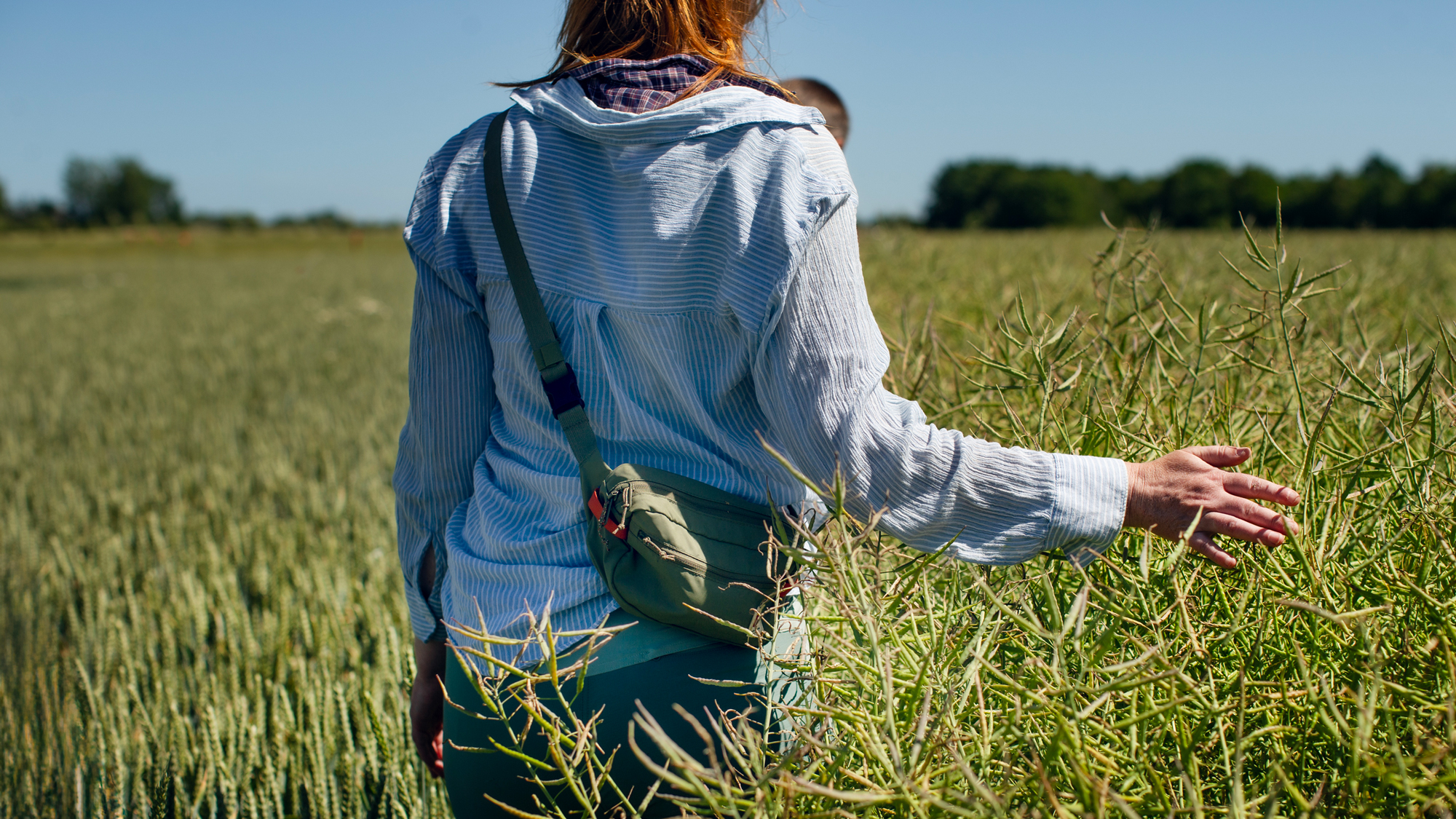 A woman with her back turned on a field. Photo.