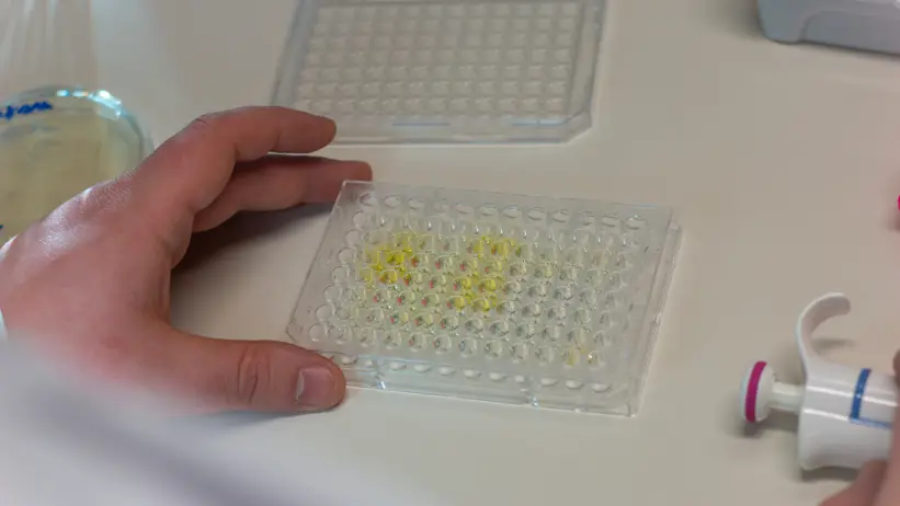 Picture of hands working with equipment in the laboratory.