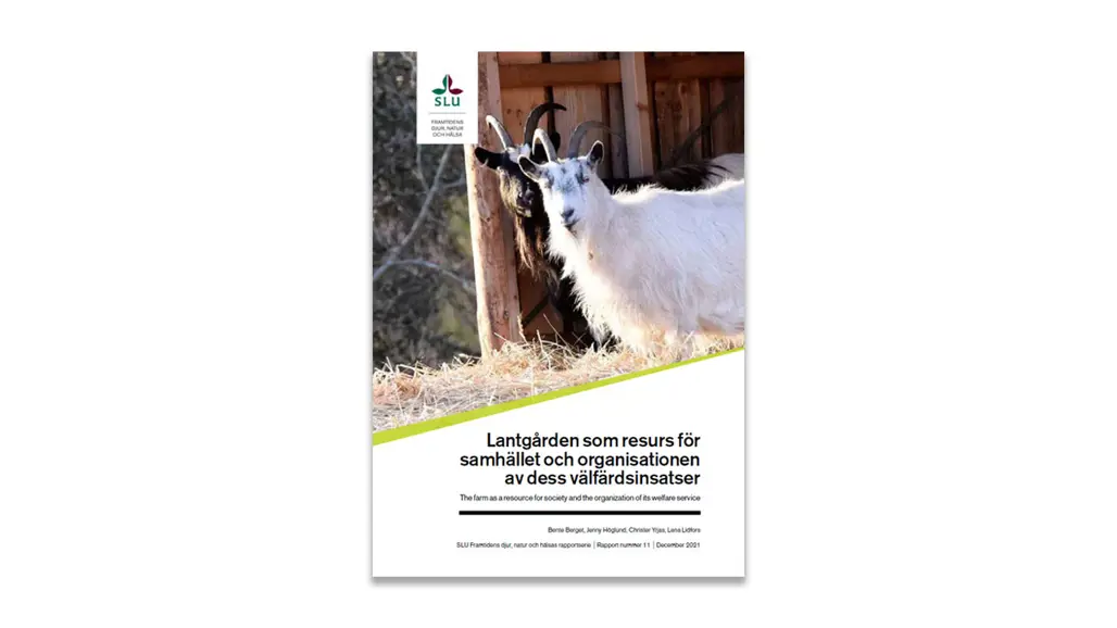 Report cover. Image.