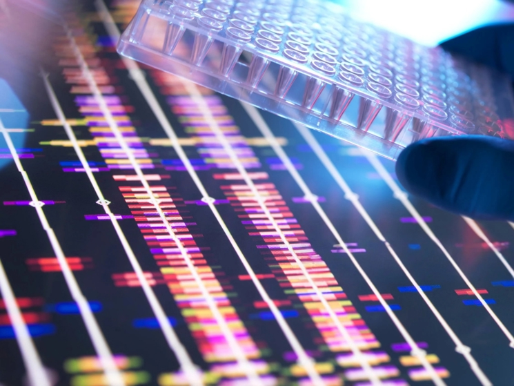 En närbild av en laboratorieanalys där en forskare med blå handske håller en plastbricka med provrör ovanför en digital skärm som visar färgstarka DNA-sekvenser eller genetiska data.