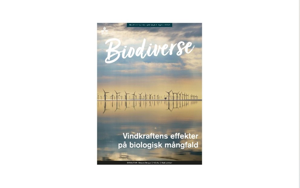Omslag med vindkraftverk.