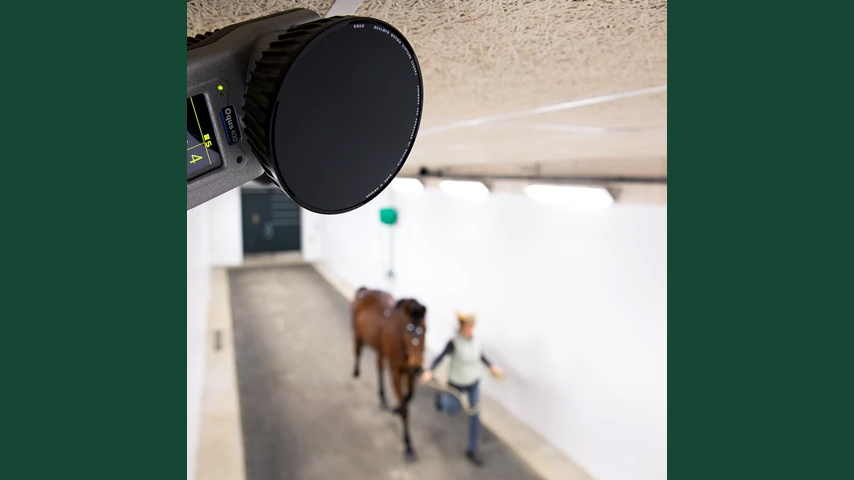 Photo from a motion laboratory at SLU, showing a horse in the lab.