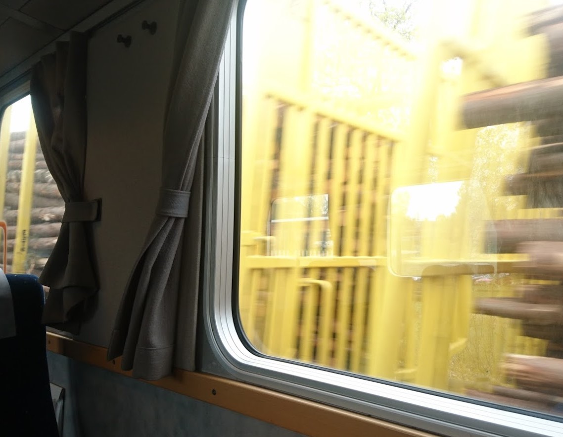 Foto: Att resa med tåg på landsbygden hjälpte mig att förstå min känsla av tillhörighet. Natasha Webster, 2019.