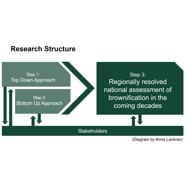 Step 1: Top Down Approach. Step 2: Bottom Up Approach. Step 3: Regionally resolved national assessment of brownification in the coming decades. All steps with stakeholder contact. Illustration.