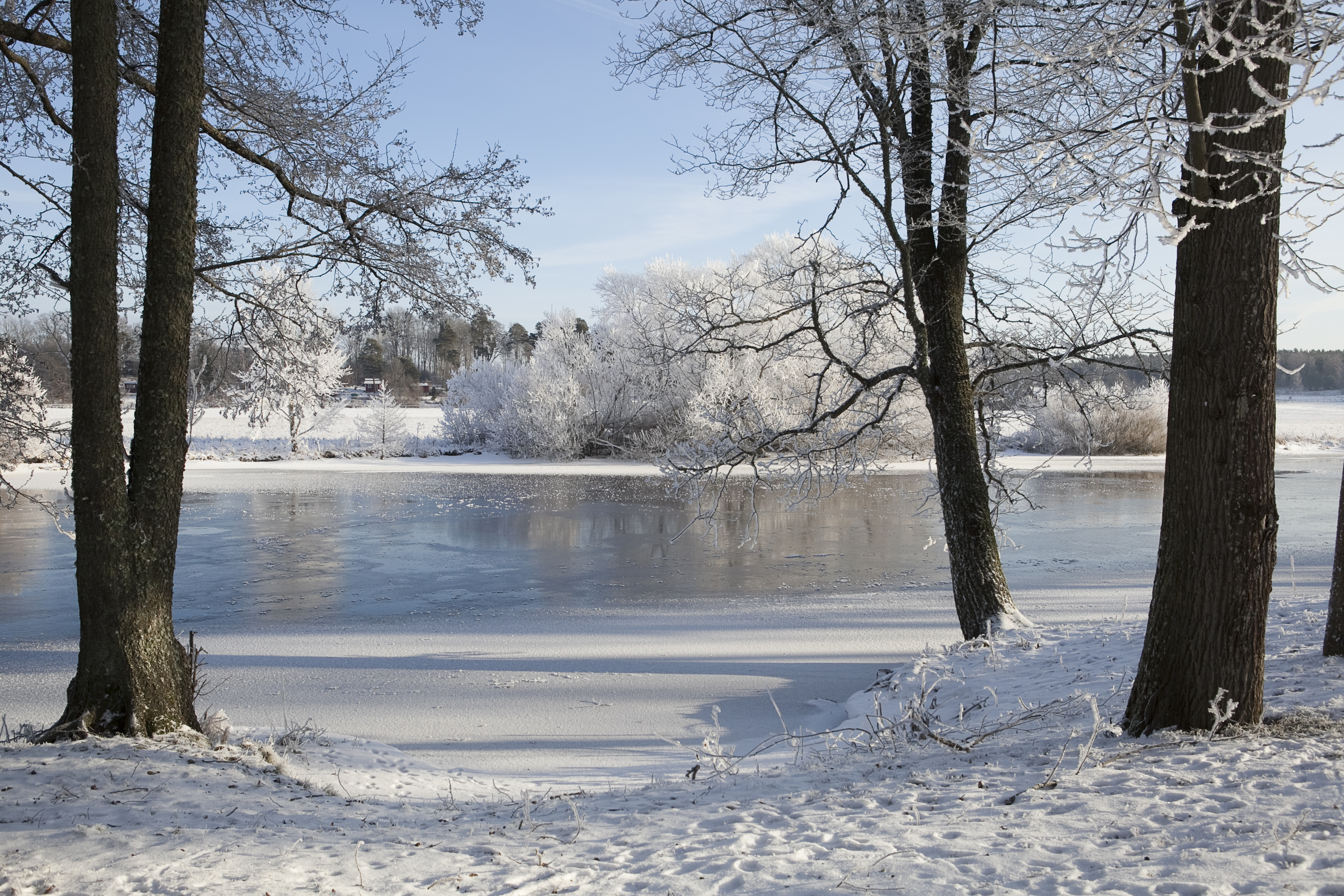 Foto på Fyrisån med snö och frost.