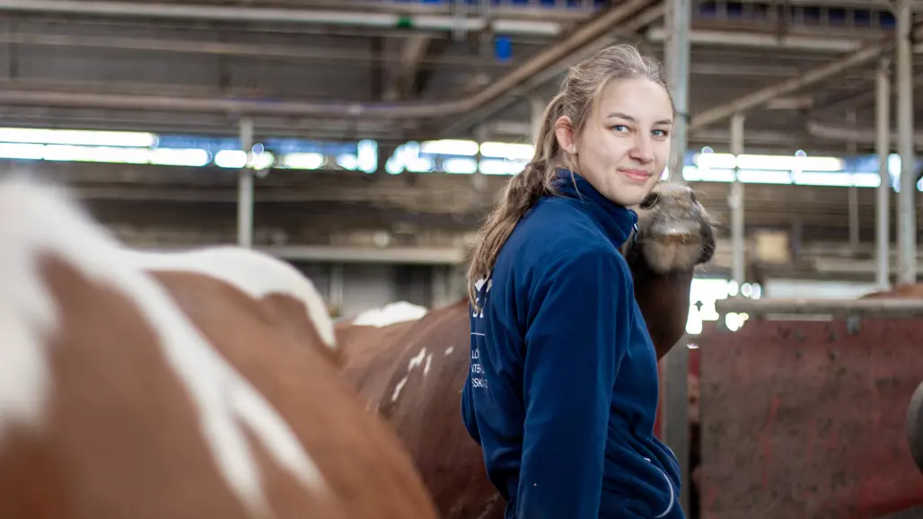 Photo of a woman (Lea Managos, SLU) standing among cows indoors.