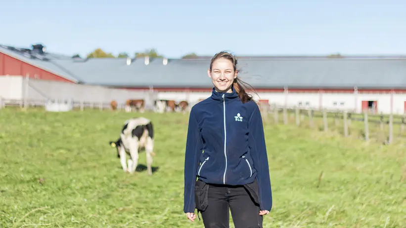 Photo of a woman (Lea Managos, SLU) standing outdoors in the sunshine with grazing cows in the background.
