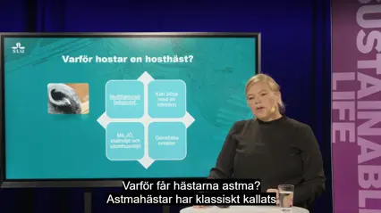 Skärmdump från föreläsning av hästforskare Miia Riihimäki vid SLU.