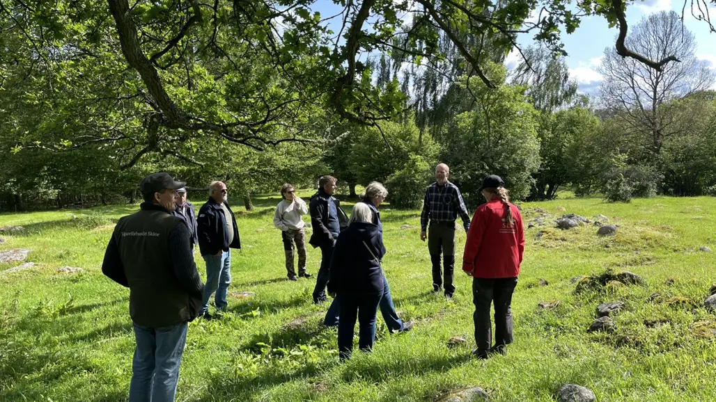 En grupp människor i en beteshage. Foto.