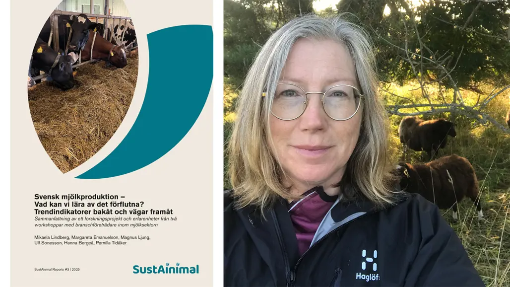 Framsidebild av rapport, porträttfoto av Frida Dahlström bredvid.