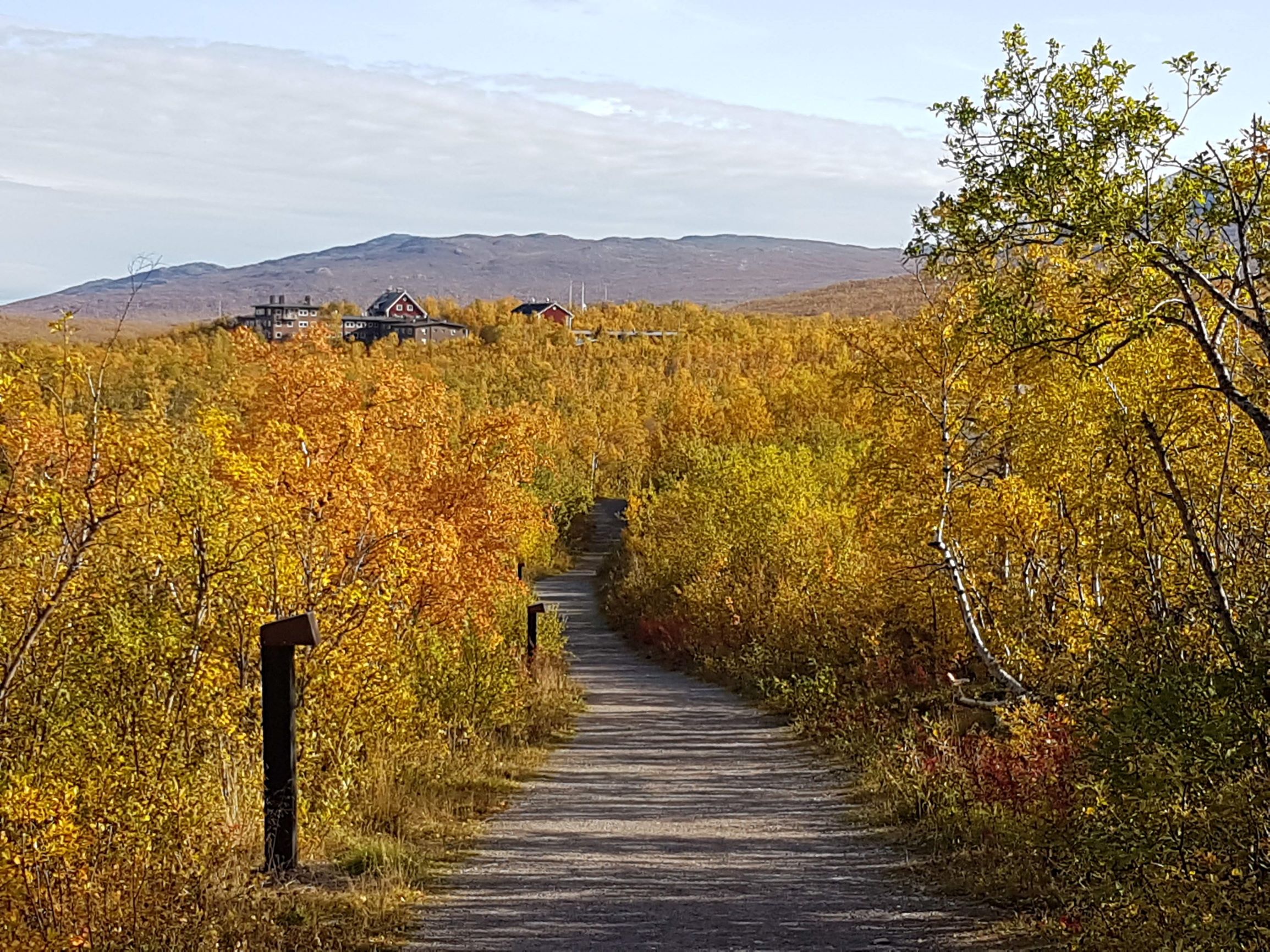 Abisko naturvetenskapliga station. Bild: Marco Eimermann