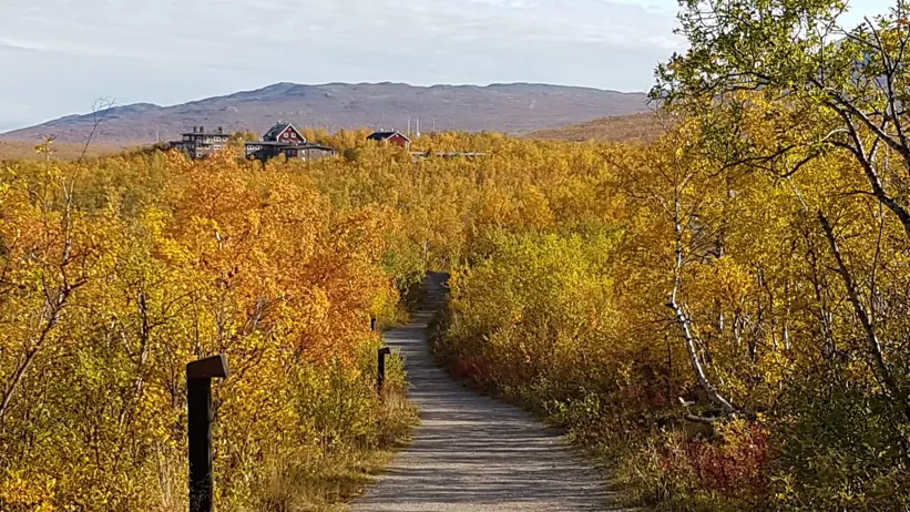 Abisko naturvetenskapliga station. Bild: Marco Eimermann
