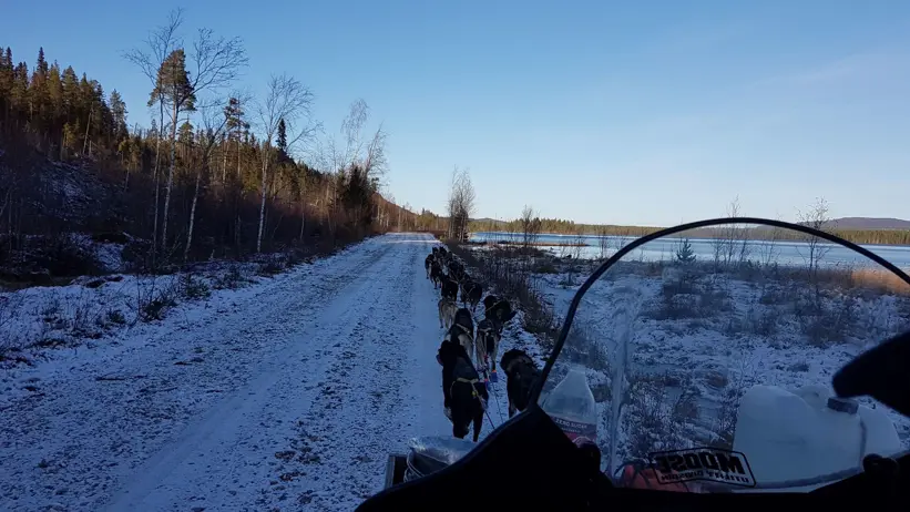 Fältarbete i Västerbottens inland. Bild: Marco Eimermann