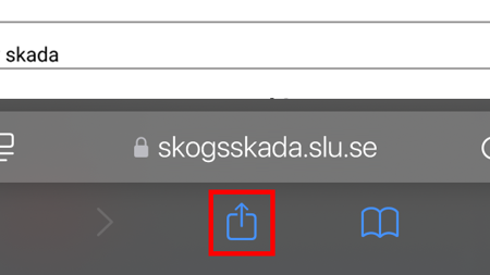Skärmbild som visar menyval. Bild.