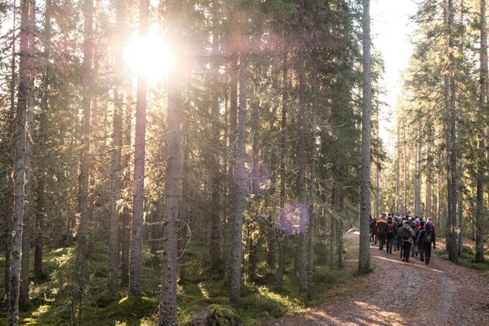 SLU students walking at a road in the foresst. Photo, taken by Daniel Stjärna, SLU.