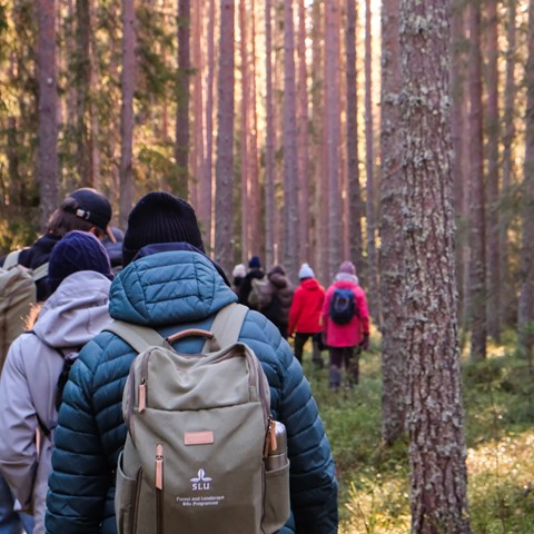 SLU-studenter i skog. Foto taget av Daniel Stjärna